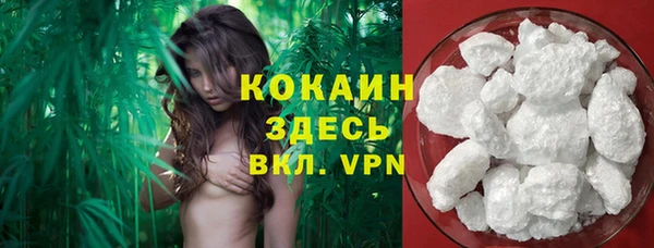 твердый Алзамай